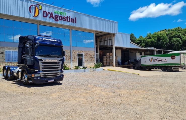 PLANTIO E CULTIVO